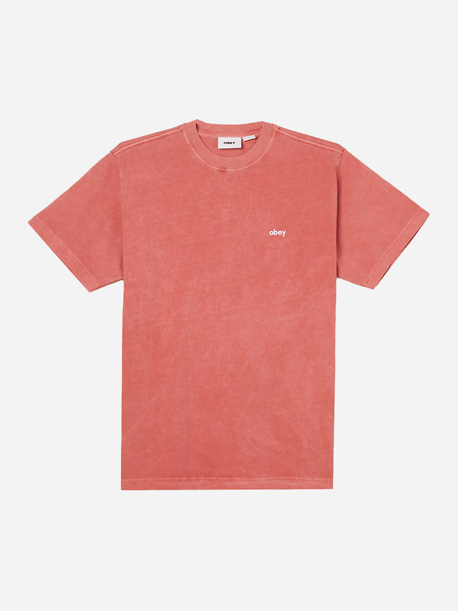 Lowercase Pigment Tee Mineral Red